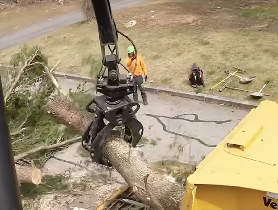 Land clearing crew removing trees and brush in Allegheny County PA