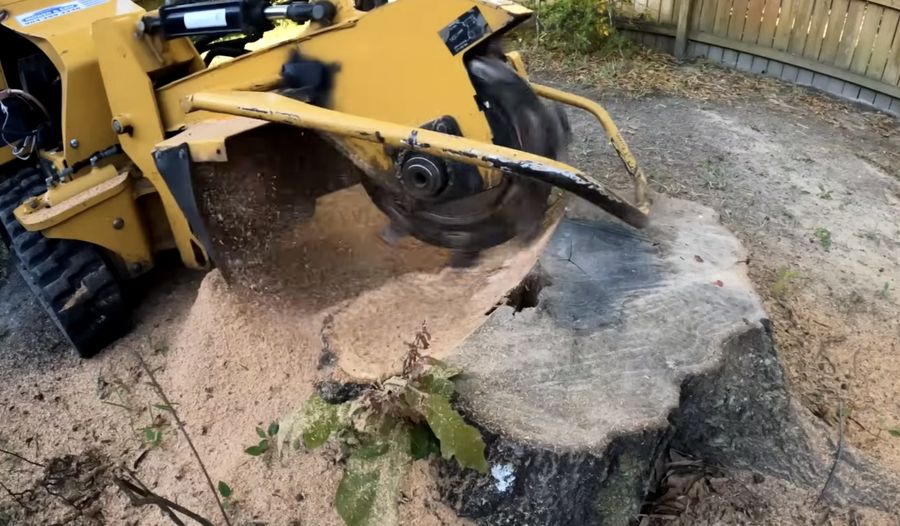 Stump grinding machine removing a tree stump in Wilkinsburg PA