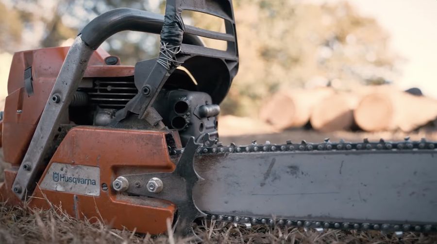 Arborist trimming tree branches in Wilkinsburg PA